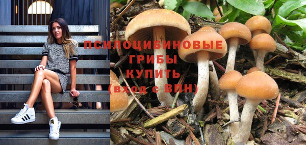 мет Кинешма