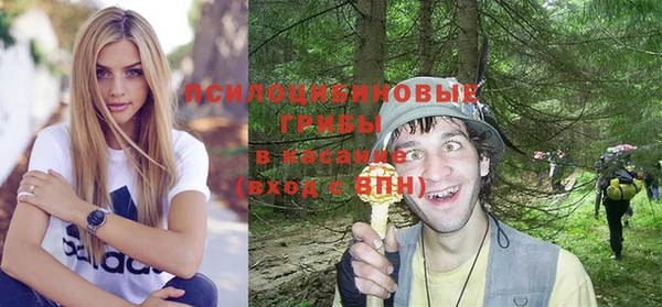 мет Кинешма