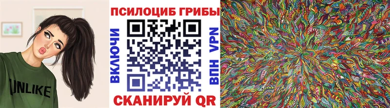Купить закладки Салаир Псилоцибиновые грибы Magic Shrooms